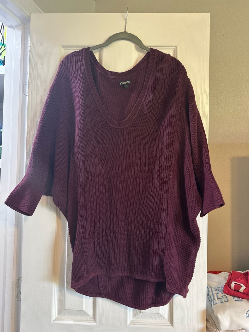 Express Plum V-Neck Sweater
